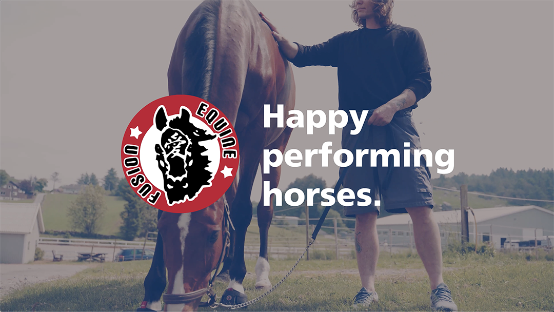 Equine Fusion