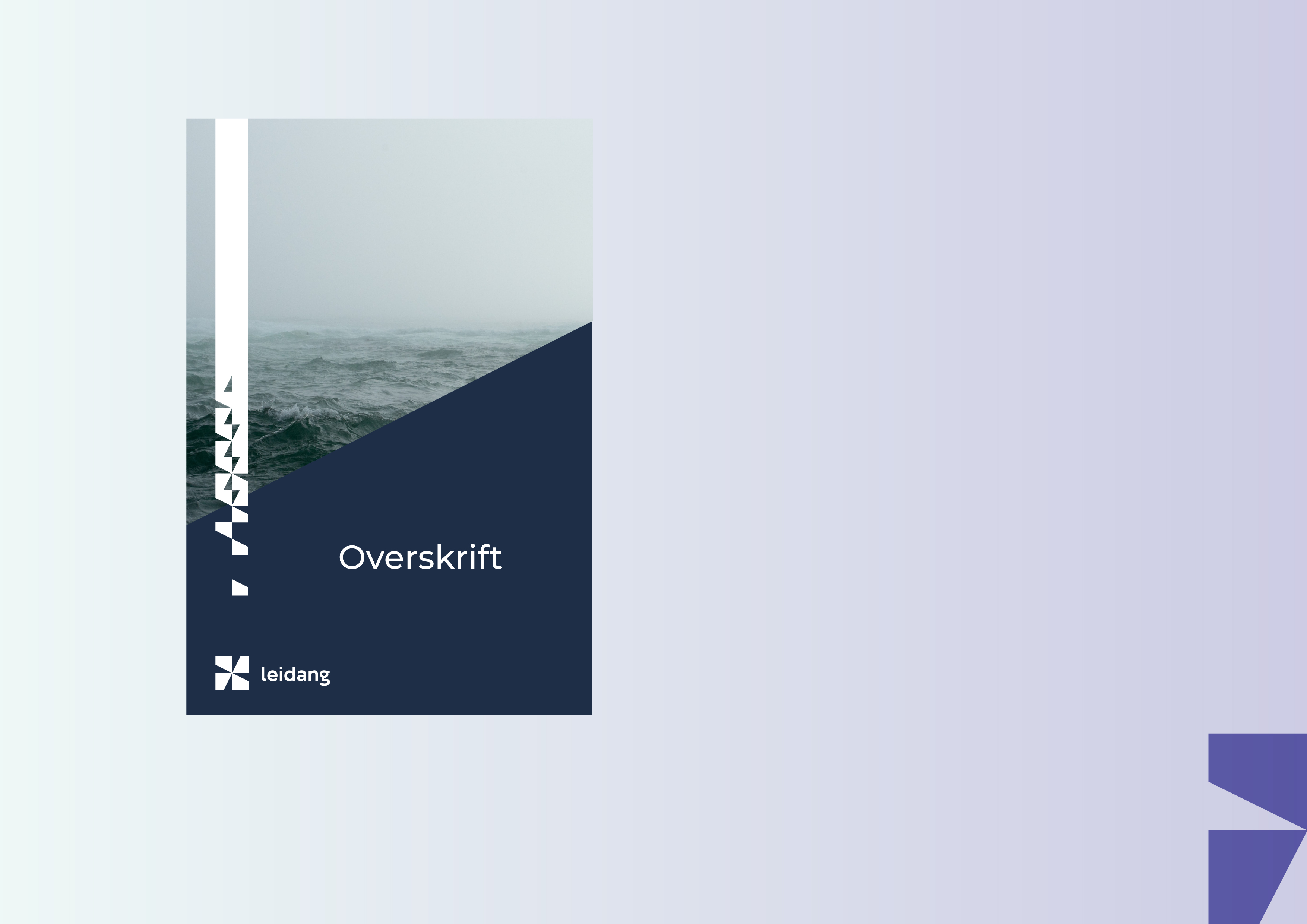 Logoark som viser et forslag til en forside i Leidang-profilen