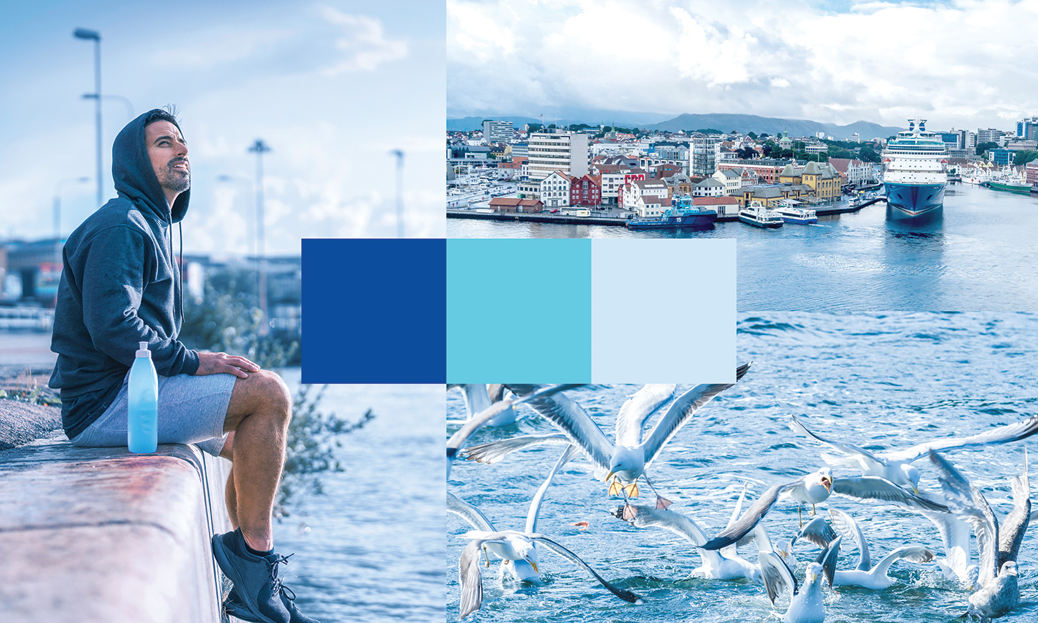 Plug.BKK-Bergen-Havn_mann