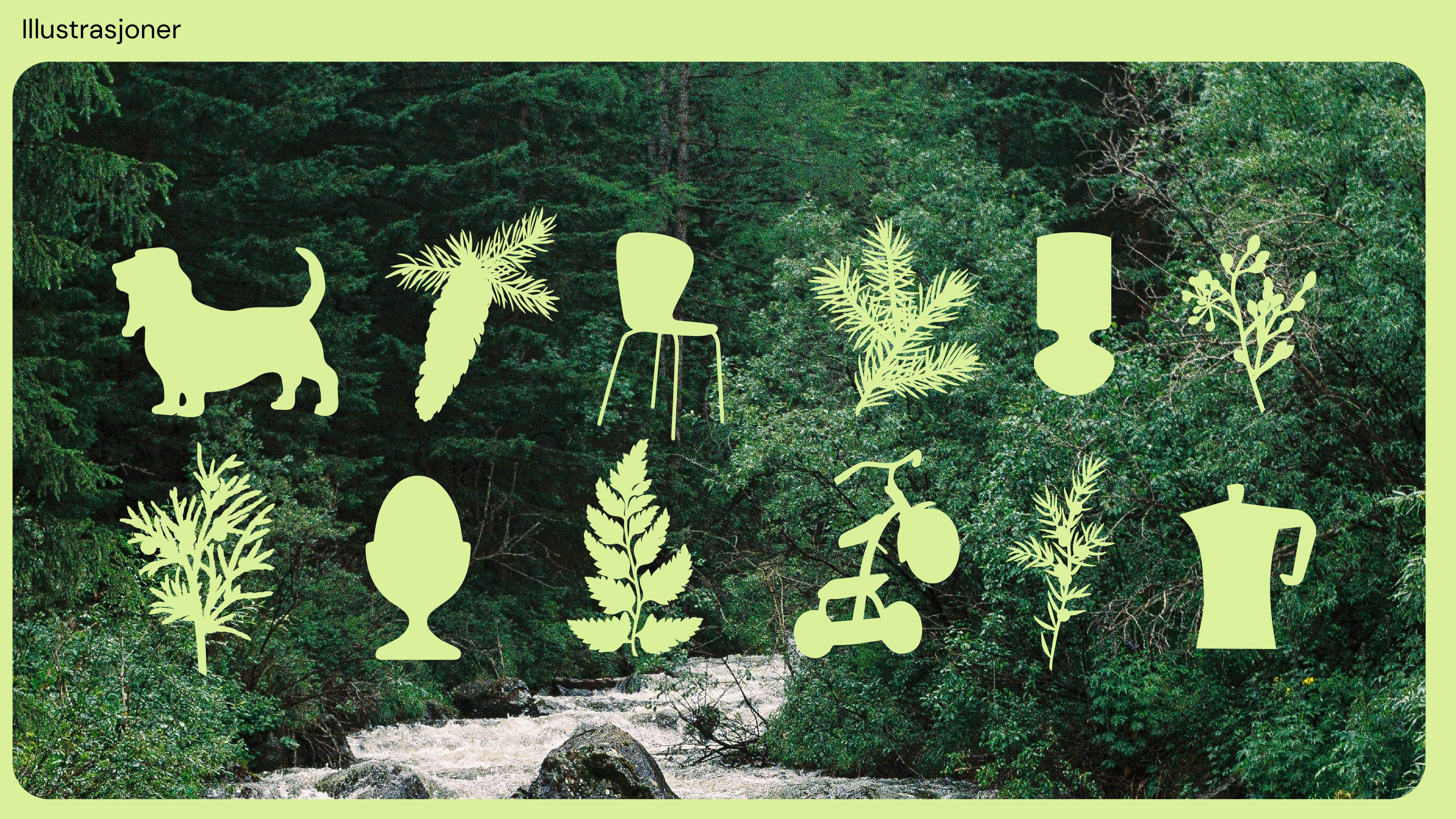 Skogens ro - Identitet-05